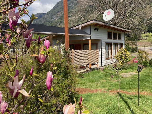 Cabaña rodeada de bosque nativo en Coñaripe