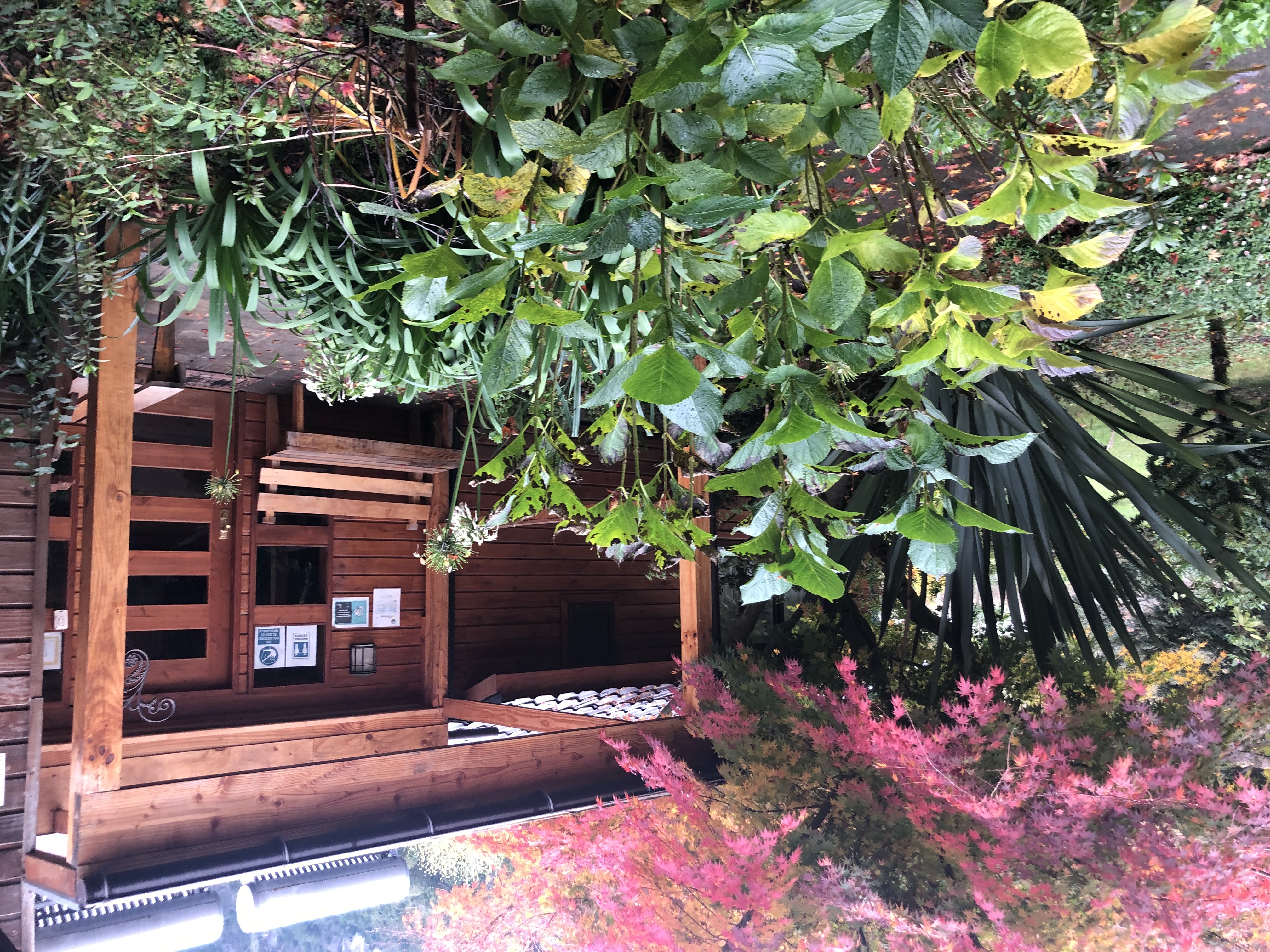 Habitación Hostal Ruka Rayün